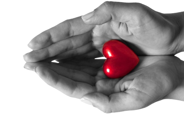 lyubov-ruki-serdce-chuvstvo-removebg-preview